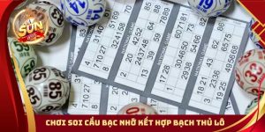 Chơi soi cầu bạc nhớ kết hợp bạch thủ lô