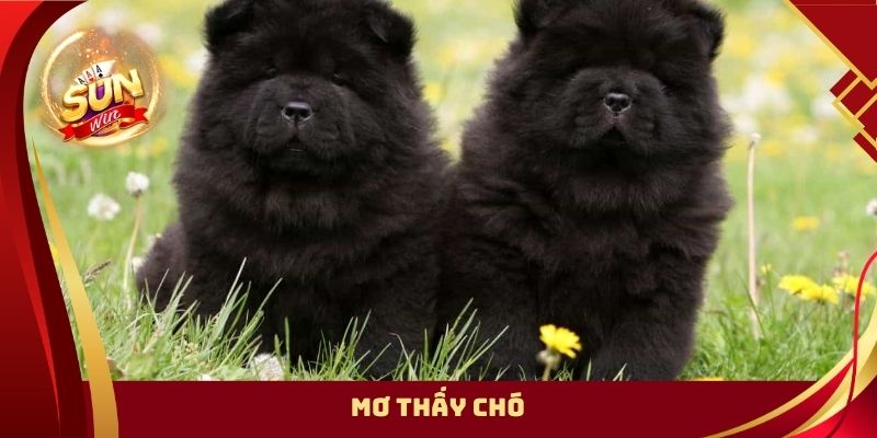 mơ thấy chó